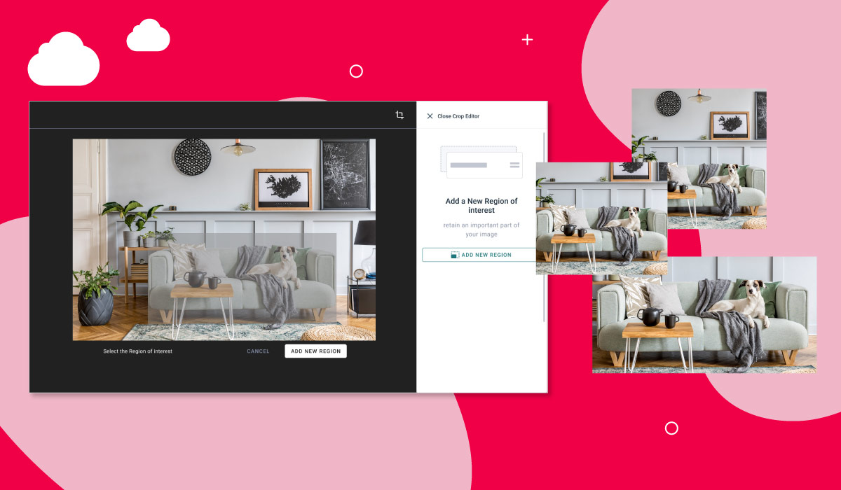 brand feature in media