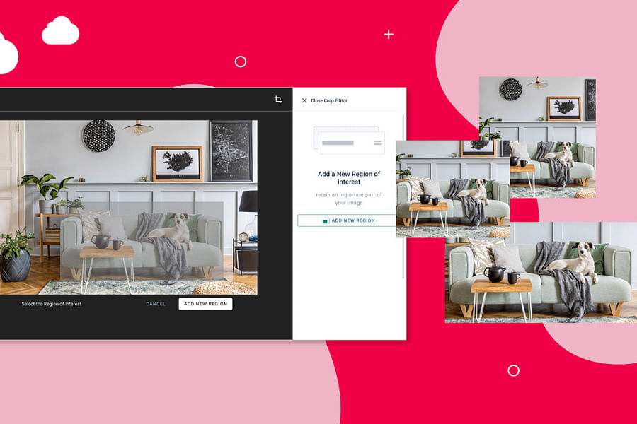 brand feature in media